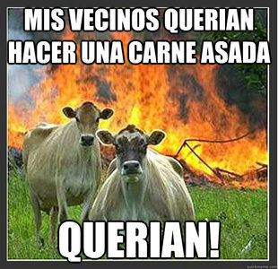 Evil cows