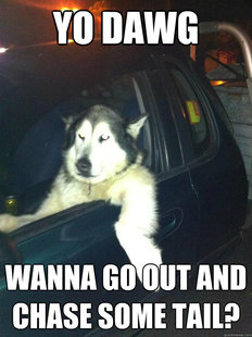 Mean Dog