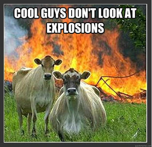 Evil cows