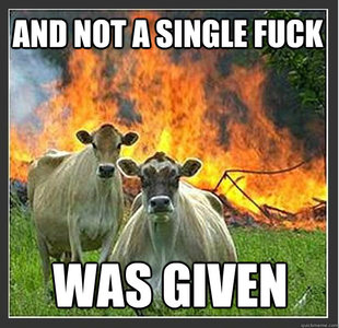 Evil cows