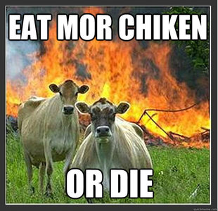 Evil cows