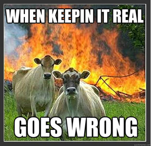 Evil cows