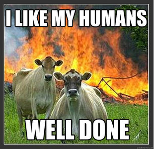Evil cows