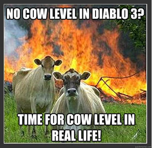 Evil cows