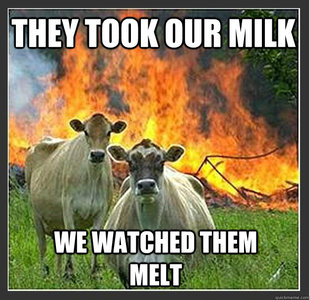 Evil cows