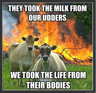 Evil cows