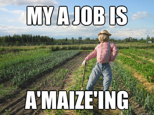 Scarecrow