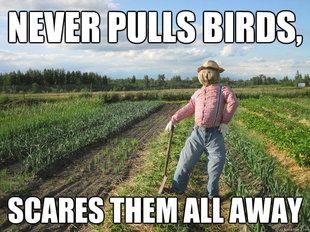 Scarecrow