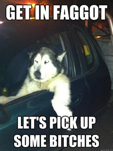 Mean Dog