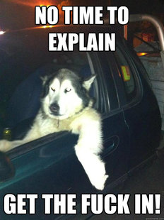 Mean Dog