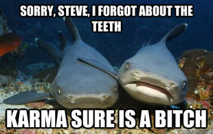 Compassionate Shark Friend