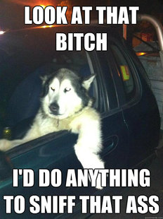 Mean Dog