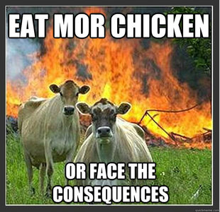 Evil cows