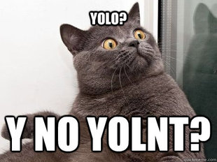 conspiracy cat