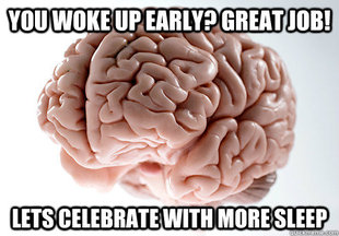 Scumbag Brain