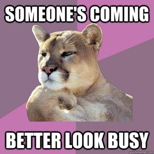 Poetry Puma