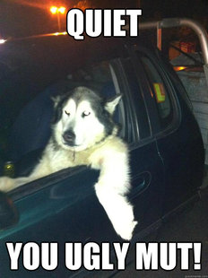 Mean Dog