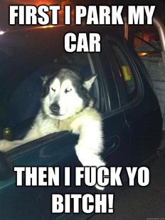 Mean Dog