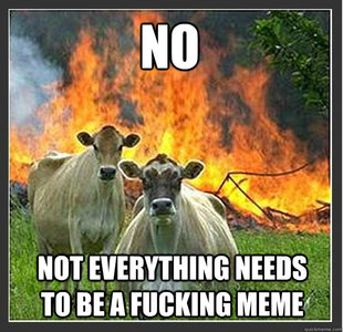 Evil cows