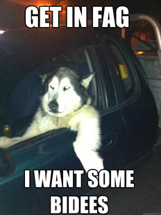 Mean Dog
