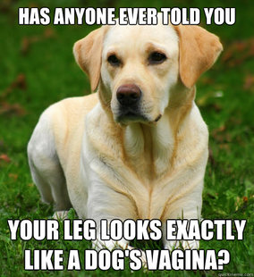 Dog Logic