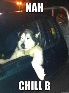 Mean Dog