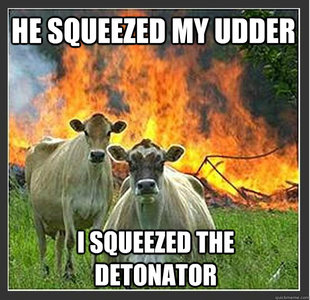 Evil cows