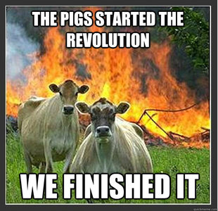 Evil cows