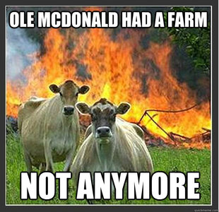 Evil cows