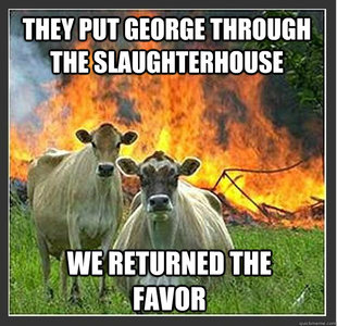 Evil cows