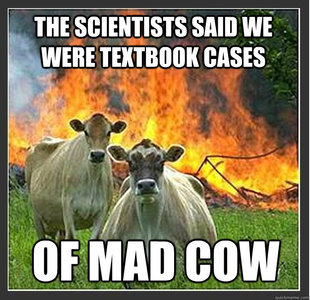 Evil cows