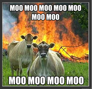 Evil cows