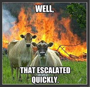 Evil cows