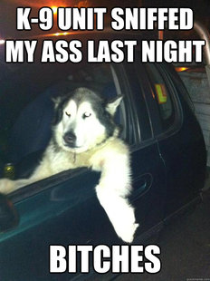 Mean Dog