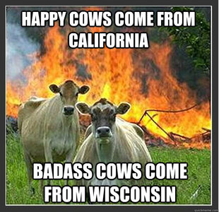 Evil cows