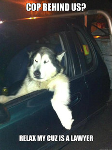 Mean Dog