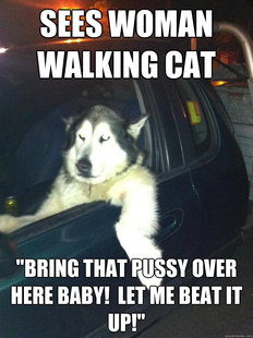 Mean Dog
