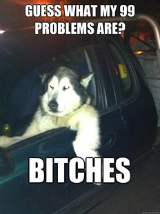 Mean Dog