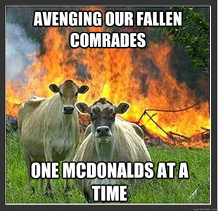 Evil cows