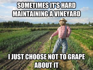 Scarecrow