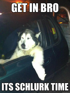 Mean Dog
