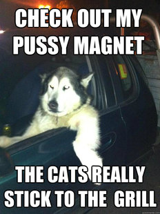 Mean Dog