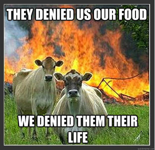 Evil cows