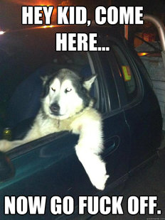 Mean Dog