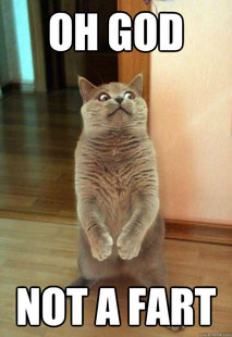 Horrorcat