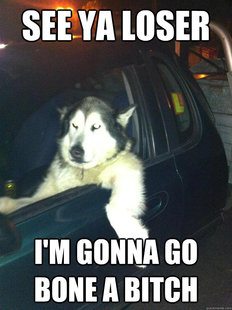 Mean Dog