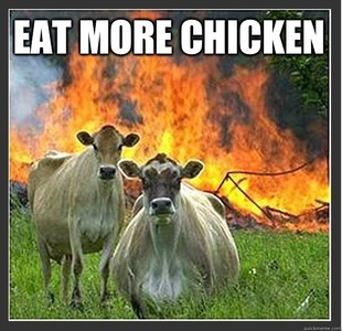 Evil cows