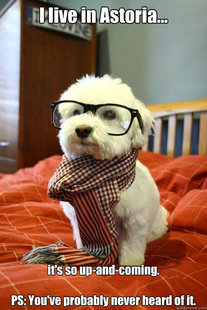 Hipster Dog