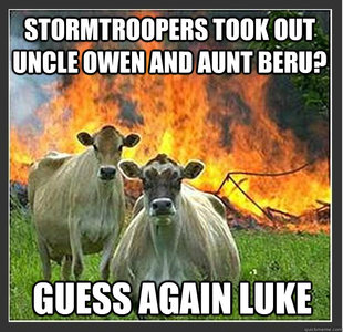 Evil cows