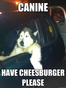 Mean Dog